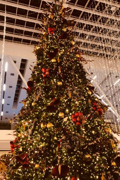 decoración e iluminación árbol de navidad centros comerciales Bogotá - Medellín